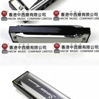 SWAN 天鵝牌 10孔 口琴 Harmonica