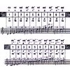 SWAN 天鵝牌 SW1040 10孔40音 半音階口琴 Harmonica