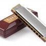 SUZUKI 10孔 藍調口琴 Harmonica