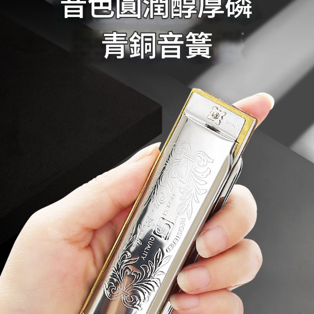SUZUKI 10孔 藍調口琴 Harmonica