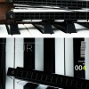 SWAN 天鵝牌 24 孔 高級複音 口琴 7調套裝 Harmonica 一套7個