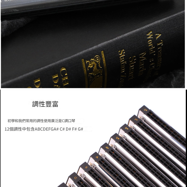 SWAN 天鵝牌 24 孔 高級複音 口琴 7調套裝 Harmonica 一套7個