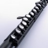 NUVO Student Flute 2.0 塑膠 16孔C調 長笛