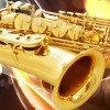Ottnorth Alto SAXOPHONE 中音降E調   金色