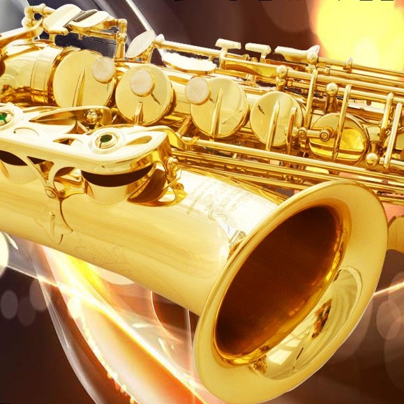 Ottnorth Alto SAXOPHONE 中音降E調   金色