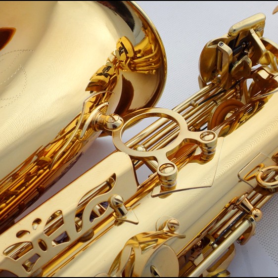 Ottnorth Alto SAXOPHONE 中音降E調   金色