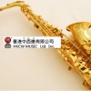 Ottnorth Alto SAXOPHONE 中音降E調   金色