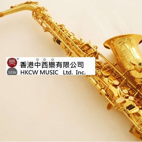 Ottnorth Alto SAXOPHONE 中音降E調   金色