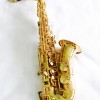 Ottnorth Alto SAXOPHONE 中音降E調   金色