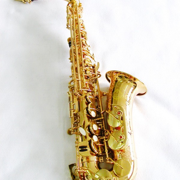 Ottnorth Alto SAXOPHONE 中音降E調   金色