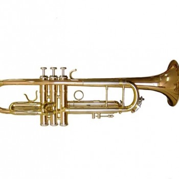 OTTNORTH 降B調 小號 trumpet