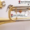 OTTNORTH 降B調 小號 trumpet