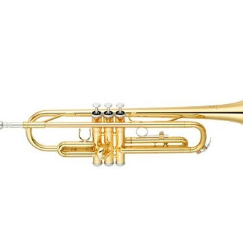 OTTNORTH 降B調 小號 trumpet