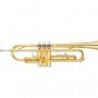 OTTNORTH 降B調 小號 trumpet