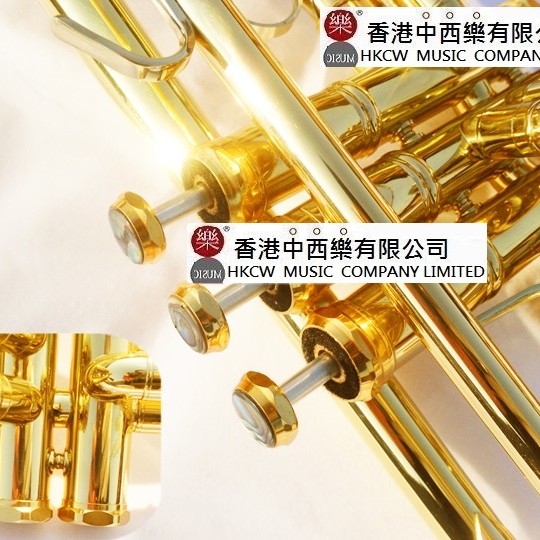 CALVIN SANG CSTR-100 降B調 小號