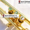 CALVIN SANG CSTR-100 降B調 小號