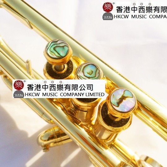 CALVIN SANG CSTR-100 降B調 小號