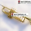 CALVIN SANG CSTR-100 降B調 小號