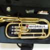 CALVIN SANG CSEU-100 降B調 上低音號 EUPHONIUM