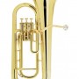 CALVIN SANG CSEU-100 降B調 上低音號 EUPHONIUM