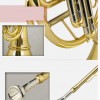 CALVIN SANG CSBFH-100 降B調 一體式 三鍵單排 兒童法國號  Baby french horn