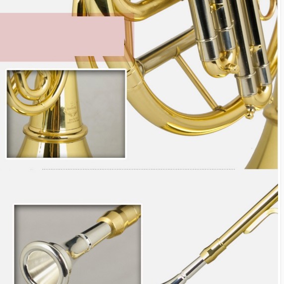 CALVIN SANG CSBFH-100 降B調 一體式 三鍵單排 兒童法國號  Baby french horn