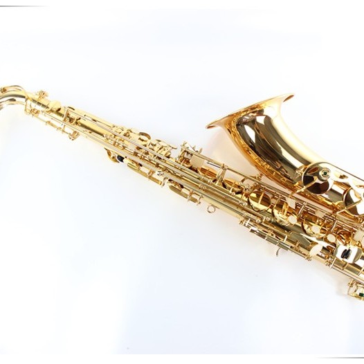OTTNORTH 降B調 TENOR 金色