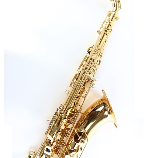 OTTNORTH 降B調 TENOR 金色