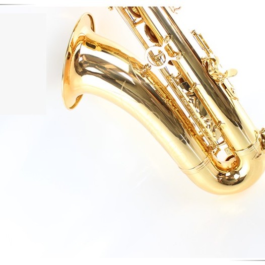 OTTNORTH 降B調 TENOR 金色