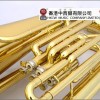 CALVIN SANG CSTU-100 降B調 大號 TUBA