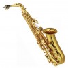 CALVIN SANG CSAS-100 Alto SAXOPHONE 中音降E調 金色