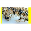 SUZUKI Alto SAXOPHONE 中音降E調 黑鎳