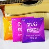 ZIKO 民謠木結他弦 DP系列