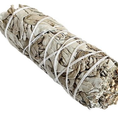 美國天然 加州白鼠尾草 White Sage (18cm 85g）