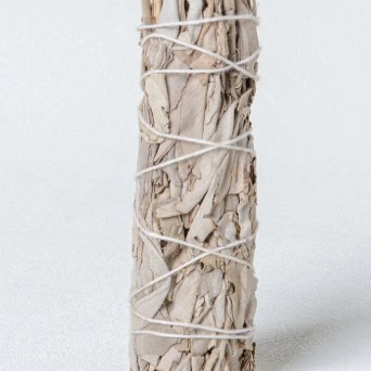 美國天然 加州白鼠尾草 White Sage (18cm 85g）