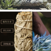 美國天然 加州白鼠尾草 White Sage (18cm 85g）