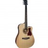 Ibanez V74 ECE