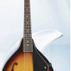 曼陀鈴 Mandolin