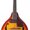 曼陀鈴 Mandolin 電箱款