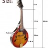 曼陀鈴 Mandolin
