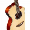 Yamaha APX500 III