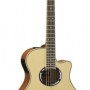 Yamaha APX500 III