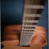 CALVIN SANG CS-7 半缺角手工單板木結他