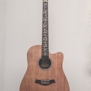 CALVIN Sang PRO TOP CS-T110