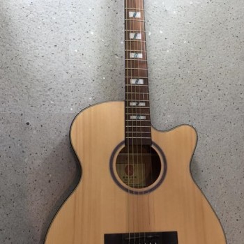 CALVIN Sang CS-40C