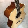 CALVIN Sang CS-35H