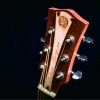 CALVIN Sang CS-41B