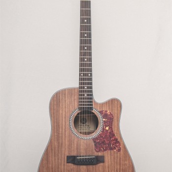 CALVIN Sang PRO TOP CS-T100