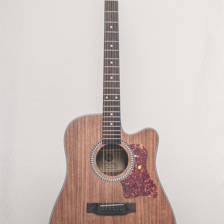 CALVIN Sang PRO TOP CS-T100