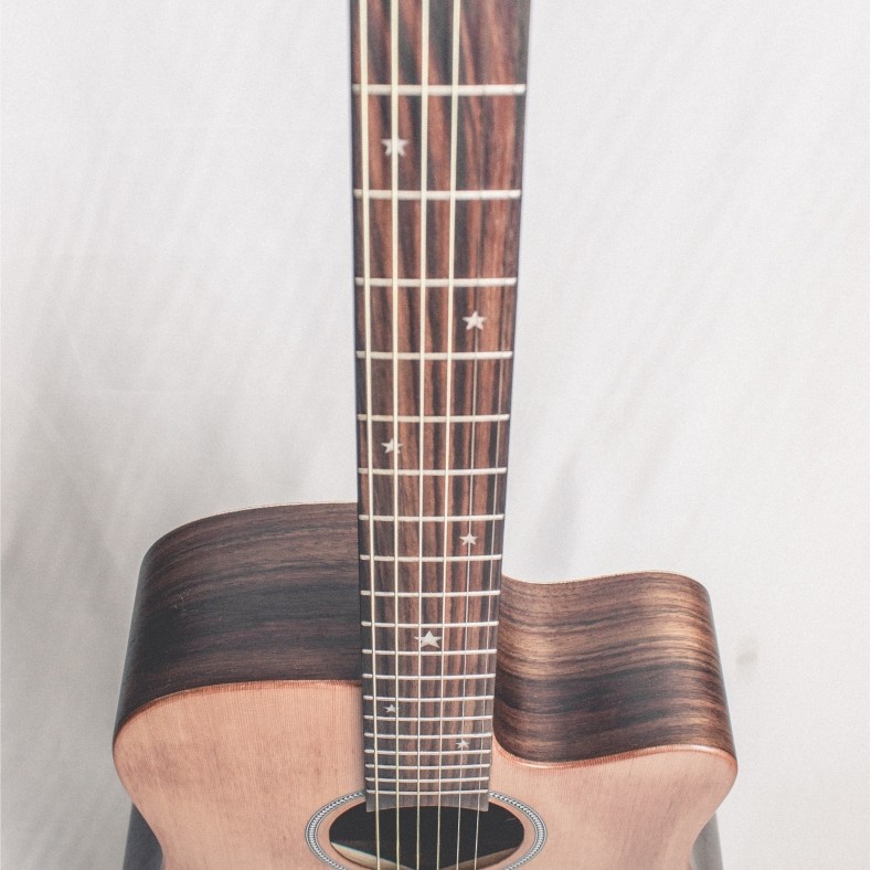 CALVIN Sang PRO TOP CS-T120